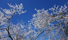 雪花与阳光的爱情
