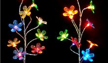 多一些缤纷美丽的野菊