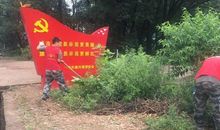 我为创卫出力量