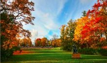 一道绚丽的风景