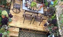 清晨小院中的活力