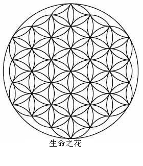 让生命之花更美丽地绽放