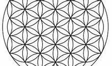 让生命之花开得更美丽