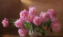 化作春天来见你