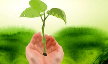 绿色，校园的生命！