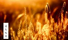 文化更是一种心灵的追求