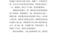 精彩的足球比赛作文400字