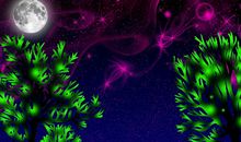 因为缘分而去爱