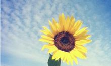 风雨后我将笑得更灿烂