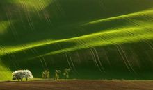 忍耐是一种美丽