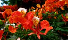 在感恩中邂逅成长