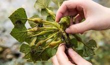 读《野草》有感