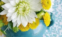 梦里繁花知多少