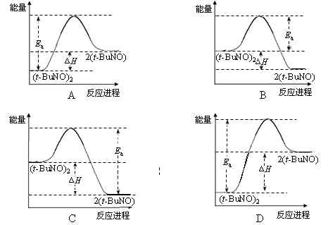 思想生活将继续