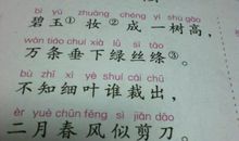 【微作文】春天来了_600字