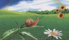 每天进步一点点