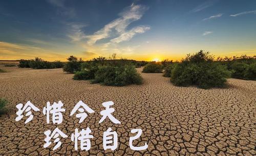 一生只有一次