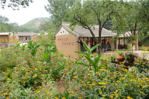 游览白草花园