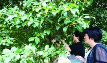 莫总怪“衣”脏，时洁吾之“窗”