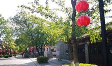 感恩的花开在回家的路上