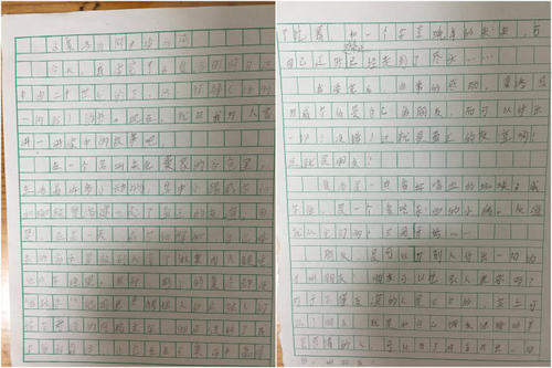 读完《夏洛特的网》后的感想