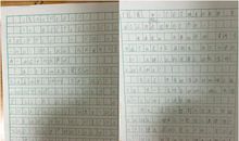 《夏洛的网》读后感