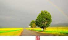 不经历风雨怎能见彩虹