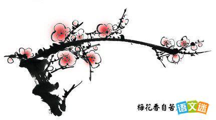 我眼中的梅花