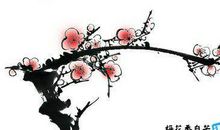 我眼中的梅花