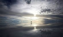 以澄澈之目观世界