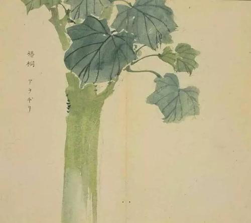 看完《诗经》后那微弱的感叹