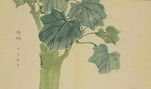 那幽幽的叹息——读《诗经》有感