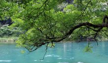 啊！这迷人的景色