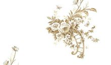 绽放闽南古韵之花