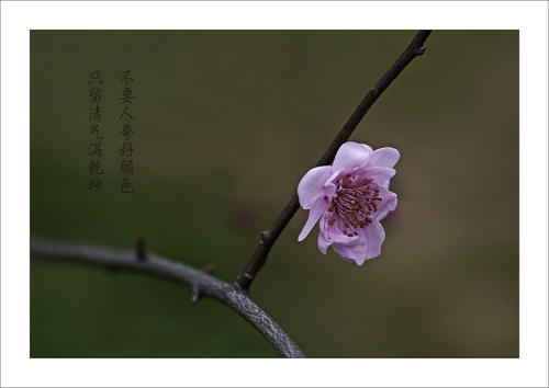 安乡