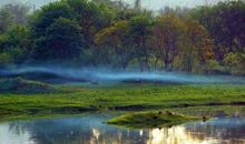 家乡的美景打动我心