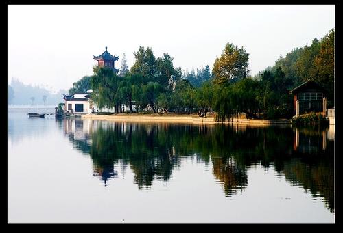 客厅里的风景