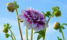 人生时时皆欢乐