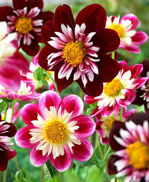 观察四个季节