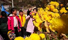 远足感悟：只有坚持才会胜利