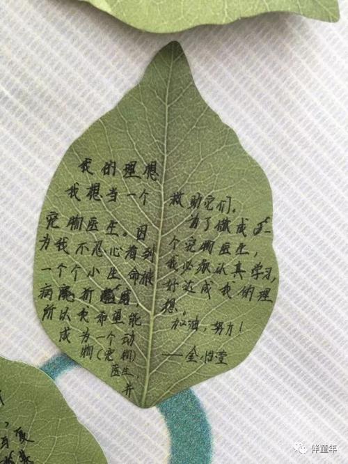 播下信任的种子