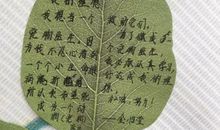 种下信任的种子