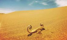 难忘的一次体验