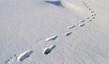 在那脚印深深的地方