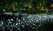 把握瞬间的微光