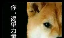 我渴望当山区教师