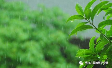 春天我小雨