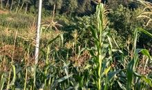 新鲜空气你在哪儿呀