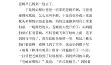 描写苍蝇的作文