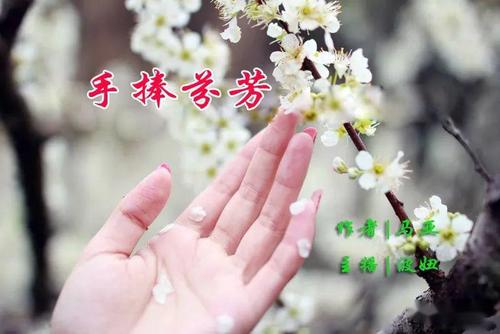 那也是香水